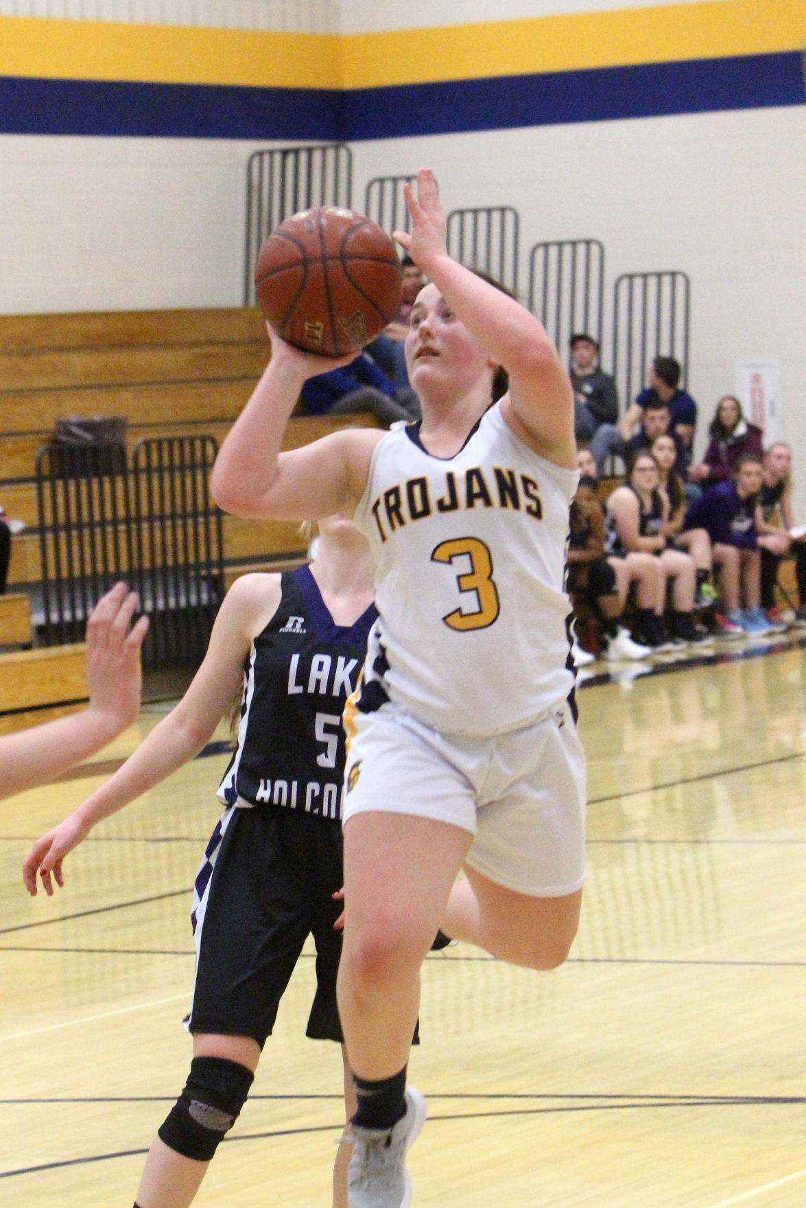 Lake Holcombe at New Auburn girls basketball 2-14-19